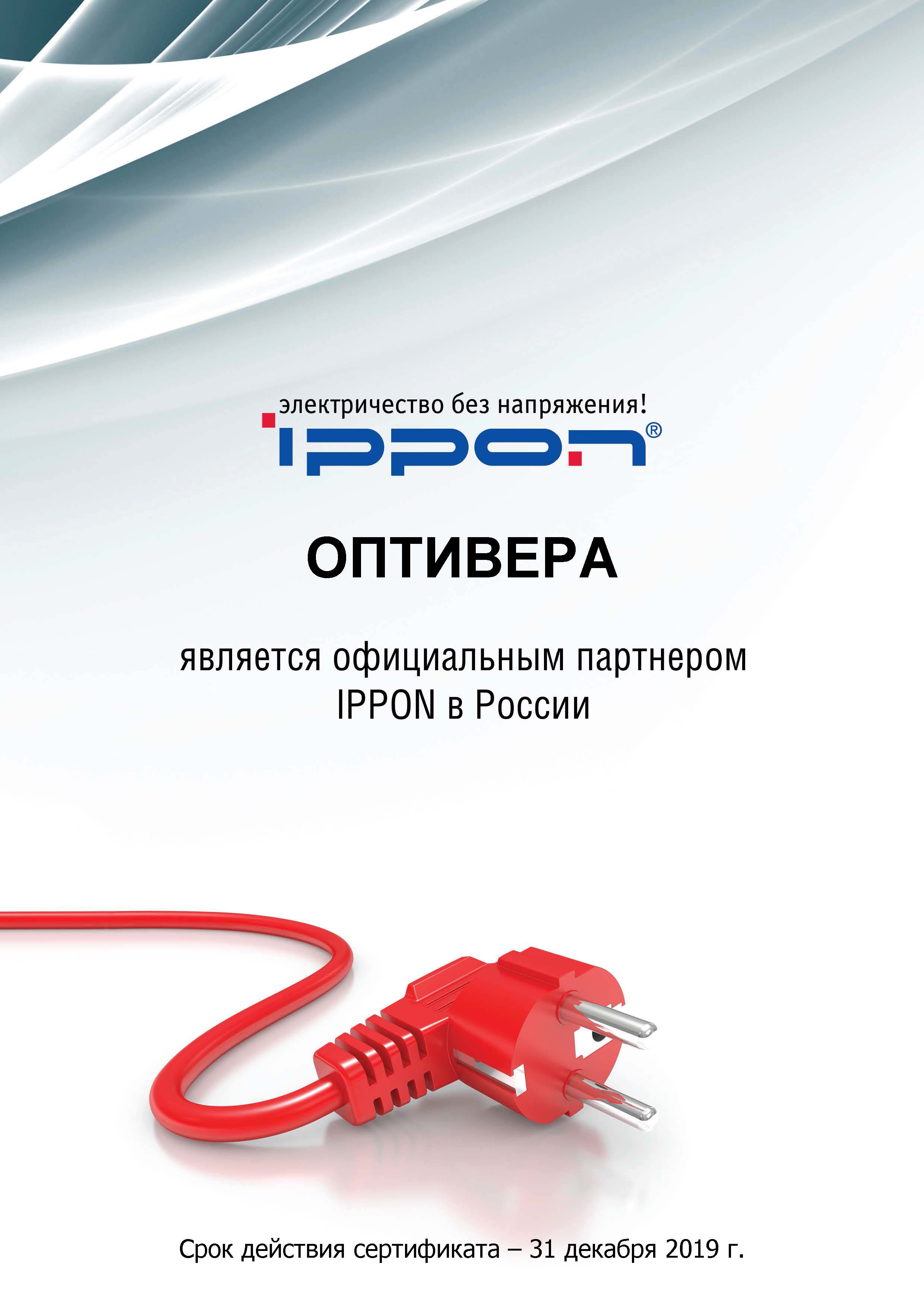 Успешно подтвержден статус официального партнера IPPON в России